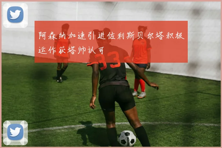 阿森纳加速引进佐利斯贝尔塔积极运作获塔帅认可